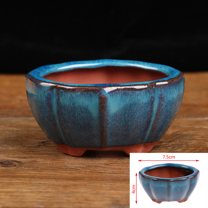 Bonsai Gardenia - Mini Pot de fleurs bonsaï en