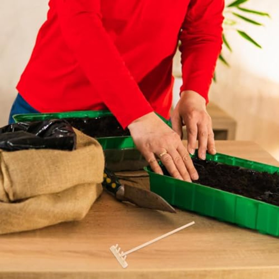 Ensemble de mini-raquettes en  - Mini Bonsai Zen Garden avis et prix