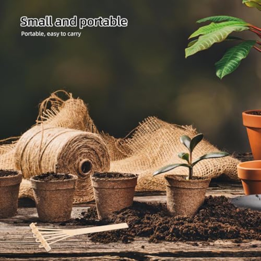 Ensemble de mini-raquettes en  - Mini Bonsai Zen Garden avis et prix