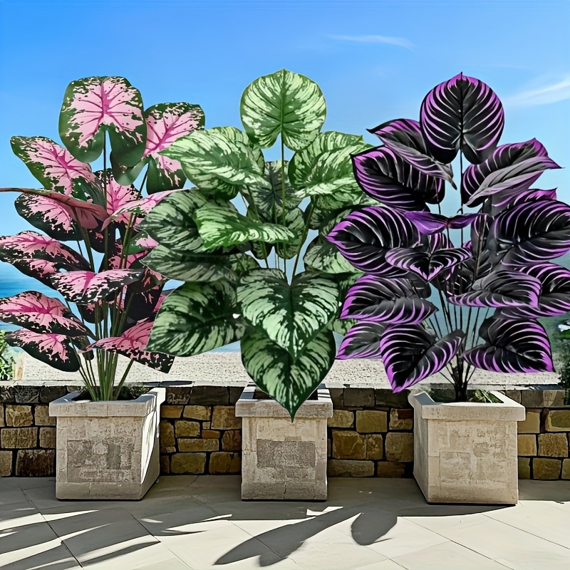 Grand ensemble de plantes vert - Bonsai Gardenia avis et prix