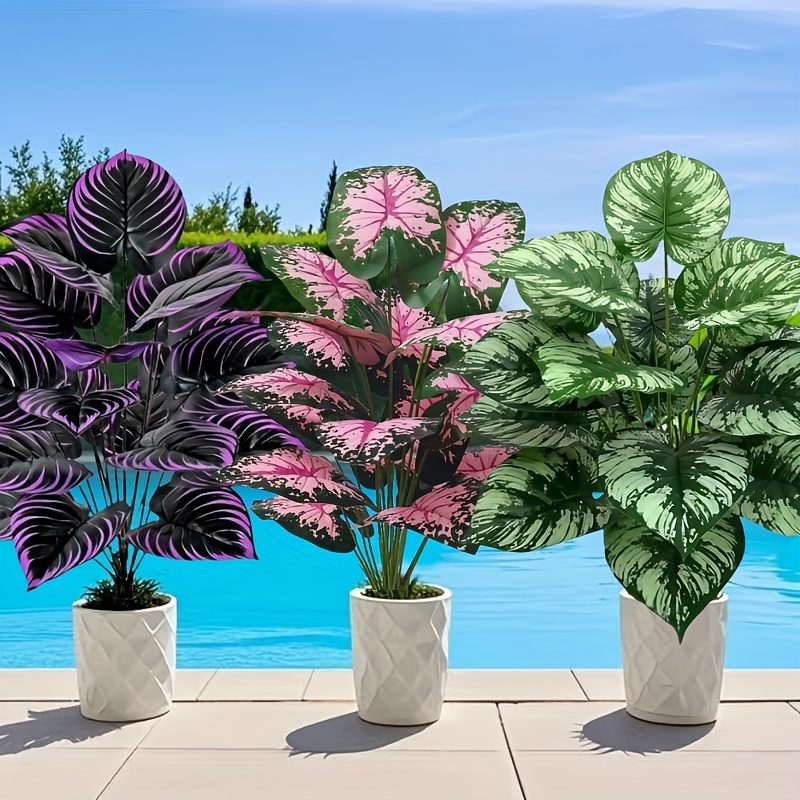 Grand ensemble de plantes vert - Bonsai Gardenia avis et prix