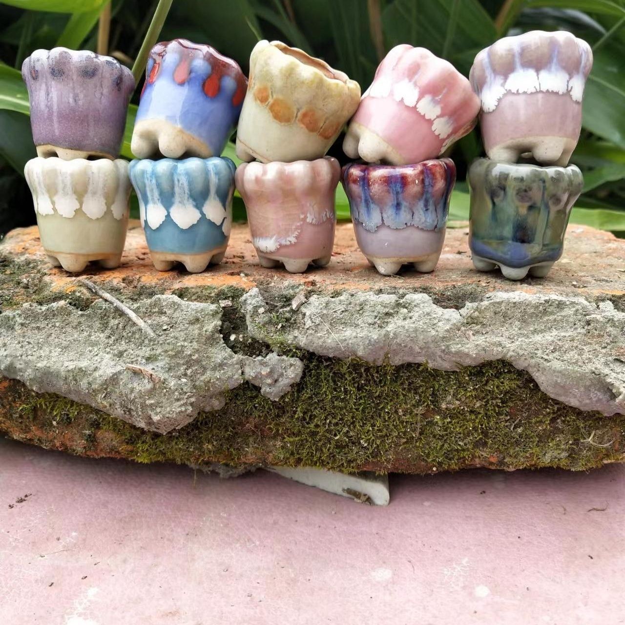Mini pot de fleurs en céramiqu - Bonsai Gardenia avis et prix