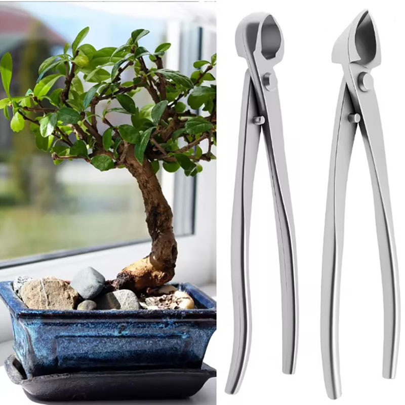Kit d'outils pour bonsaï en ac - Bonsai Gardenia avis et prix