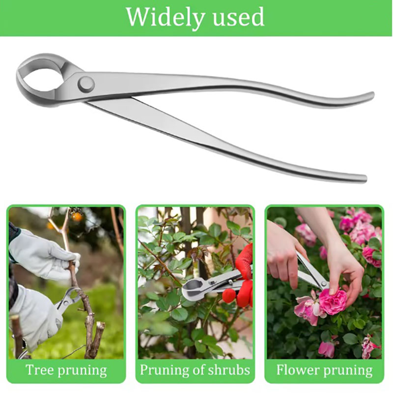 Kit d'outils pour bonsaï en ac - Bonsai Gardenia avis et prix